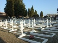 Montauban, carrés militaires du cimetière communal 1.jpg